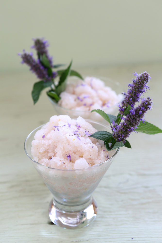 Anise-hyssop-granita Anise-hyssop-granita