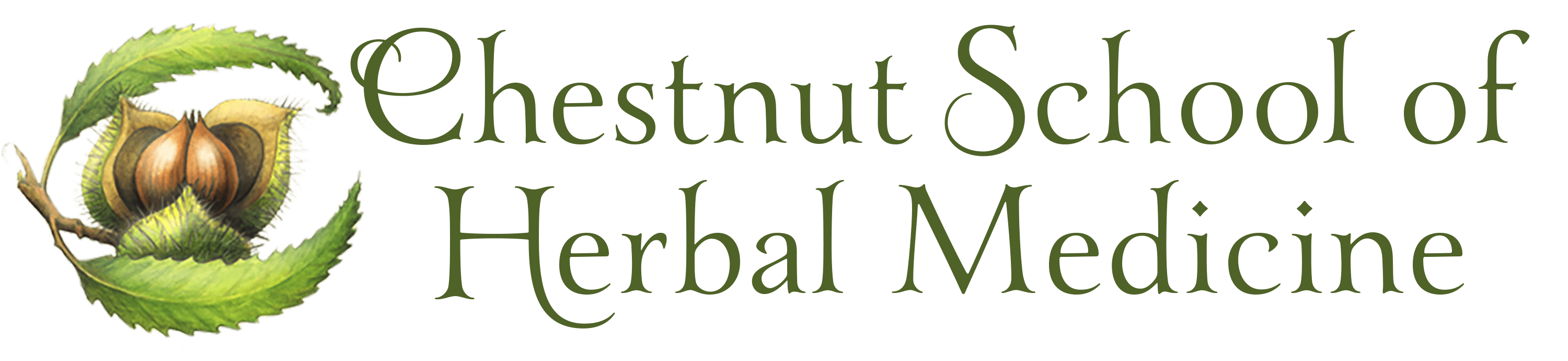 Chestnut School of Herbal Medicine logo