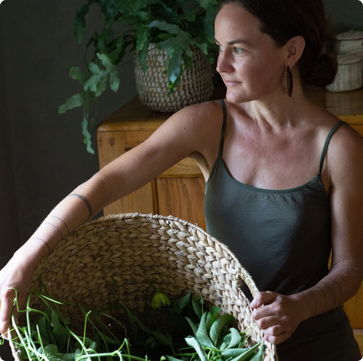 Free 100-page guide for beginning herbalists