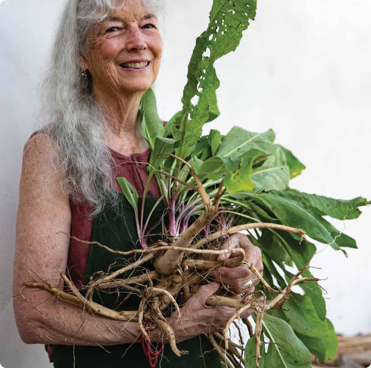 Discover the Herbal Immersion