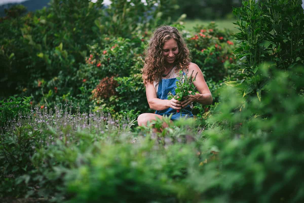 A person gathering herbs in a lush garden.